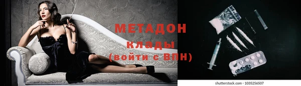 прущие грибы Балахна