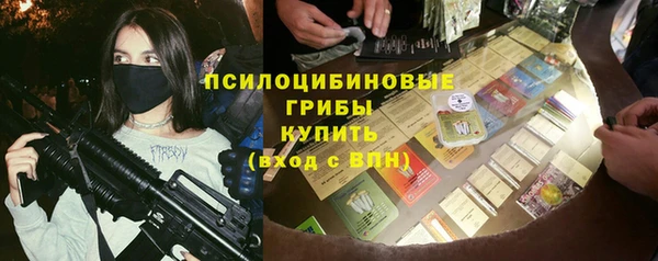 ГАЛЛЮЦИНОГЕННЫЕ ГРИБЫ Белоозёрский