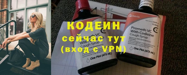 прущие грибы Балахна
