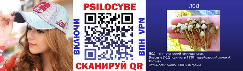 площадка как зайти  гидра ТОР  Новохопёрск  продажа наркотиков  Галлюциногенные грибы MAGIC MUSHROOMS 
